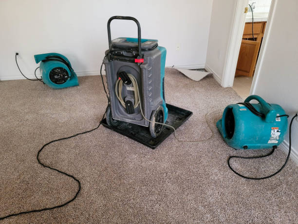 Carpet water damage restoration in Pleasant Run, OH