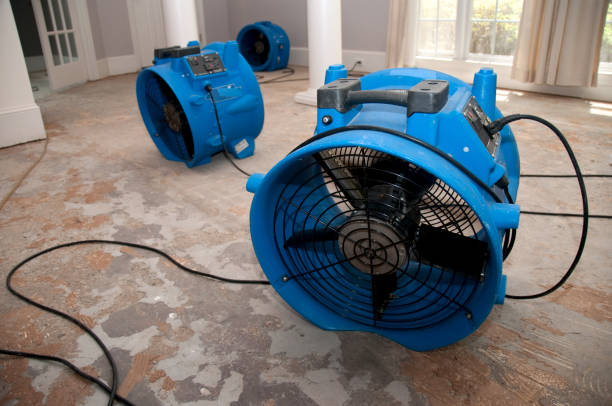 Best Water damage restoration specialists  in Pleasant Run, OH