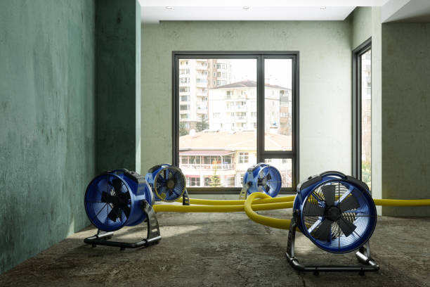 Best 24-hour water damage restoration  in Pleasant Run, OH